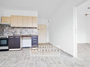 Pronájem 1+1, DV, 35 m2, Ústí nad Labem, Neštěmice, Mlýnská