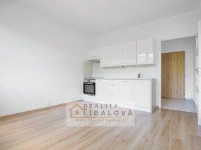 Pronájem 1+1, 36 m2, Ústí nad Labem, Severní Terasa, Glennova