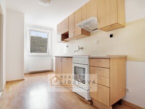 Pronájem 1+1, OV, 36 m2, Ústí nad Labem, Klíše, Masarykova