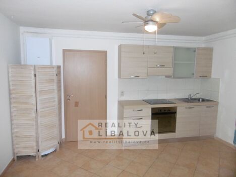 Prodej 1+1, OV, 40 m2, Ústí nad Labem, Klíše, Alešova
