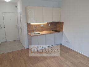 Pronájem garsonky, OV, 22 m2, Ústí nad Labem - centrum, Hoření