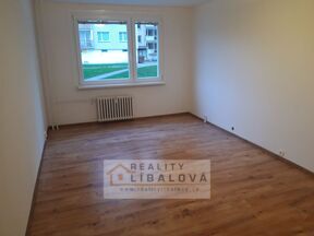 Pronájem 1+1, OV, 41 m2, Ústí nad Labem, Střekov, Nová