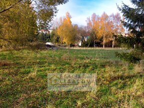 Prodej, Pozemek, Verneřice okr.Děčín